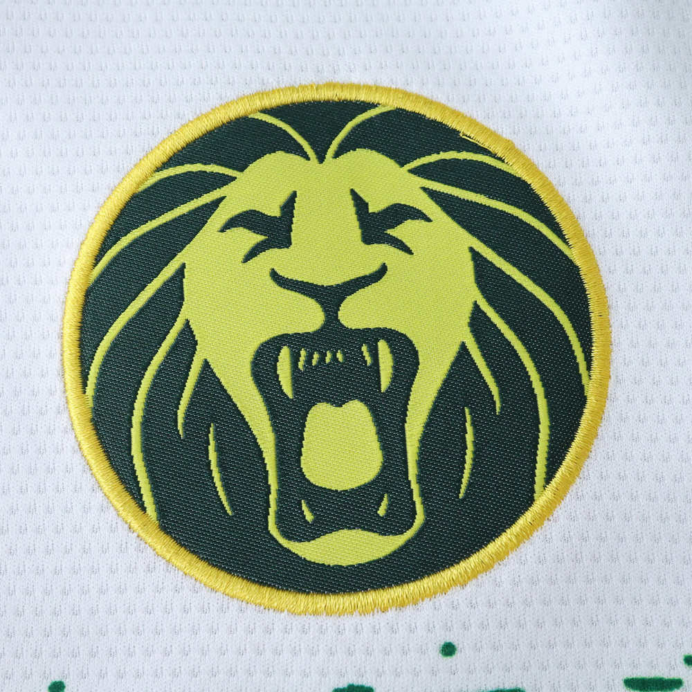 2526 season Cameroon third Fan version