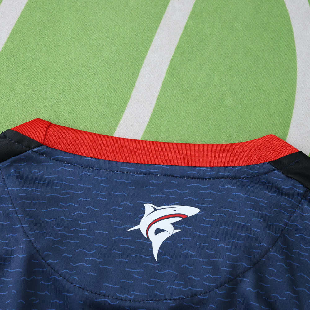 2526 season Cape Verde home Fan version