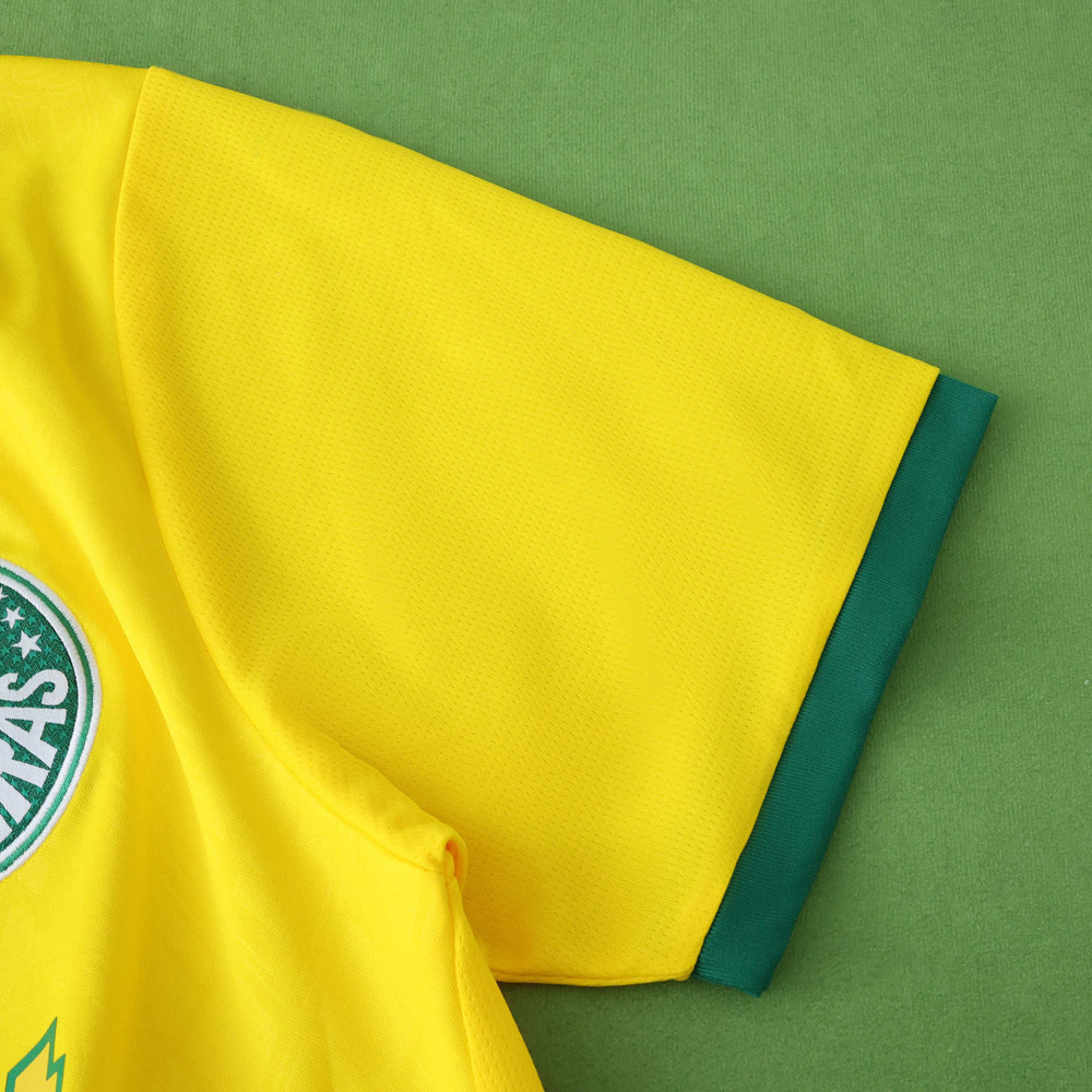 2526 season Sociedade Esportiva Palmeiras third Fan version