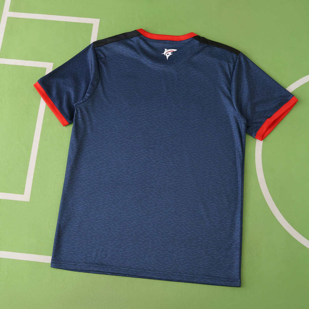 2526 season Cape Verde home Fan version
