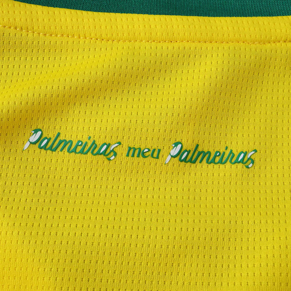 2526 season Sociedade Esportiva Palmeiras third Fan version