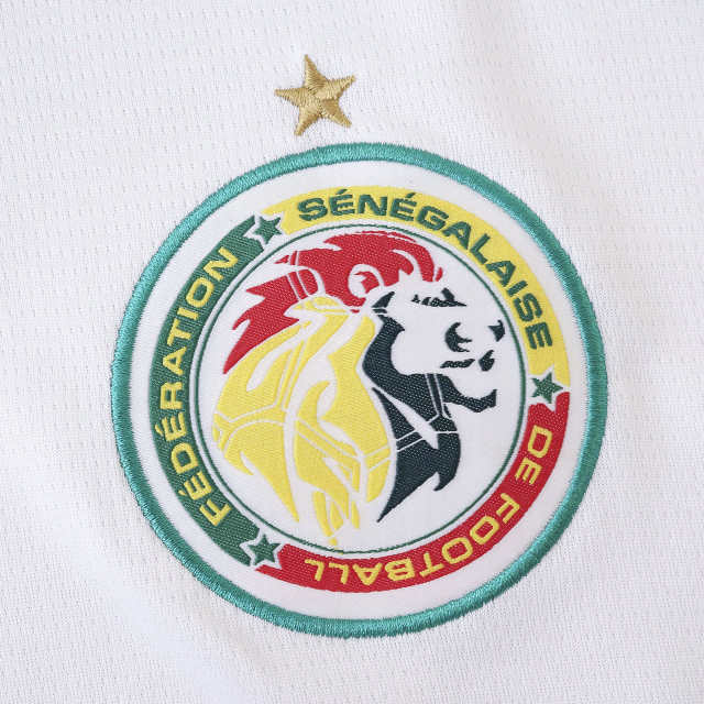 2026 season Senegal home Fan version
