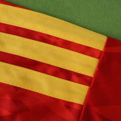 2026 FIFA World Cup Belgium Home Fan version
