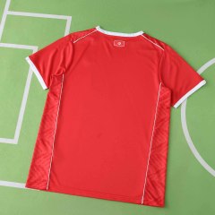 2026 season Tunisia home Fan version
