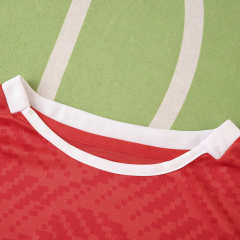 2026 season Tunisia home Fan version
