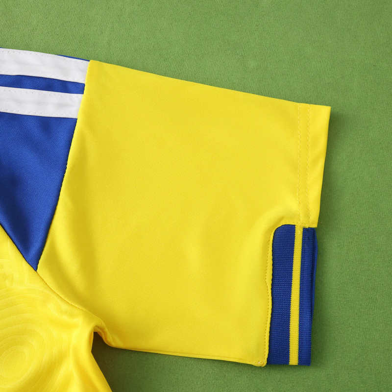 2026 FIFA World Cup Sweden home Fan version