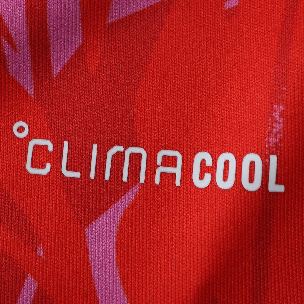2026 FIFA World Cup Costa Rica home Fan version