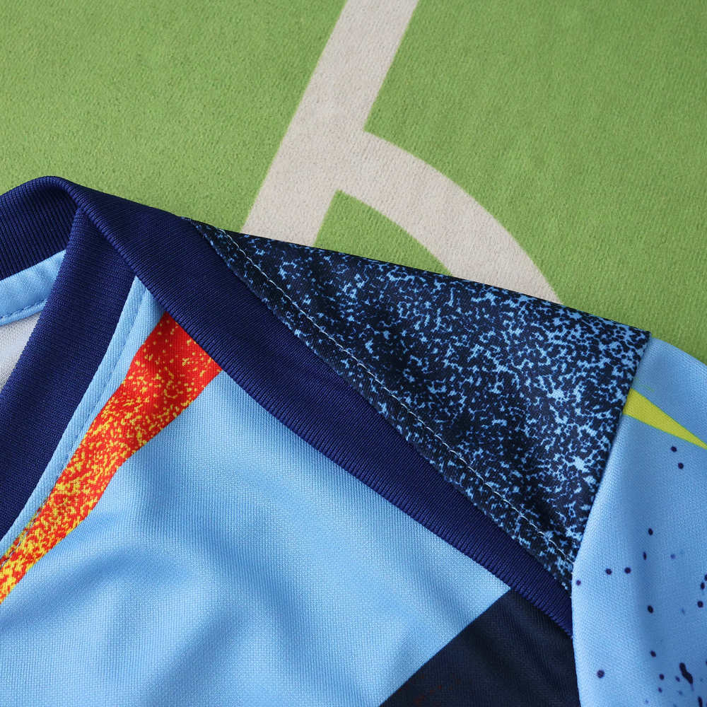 2526 season FC Barcelona / Barça Training shirt Fan version