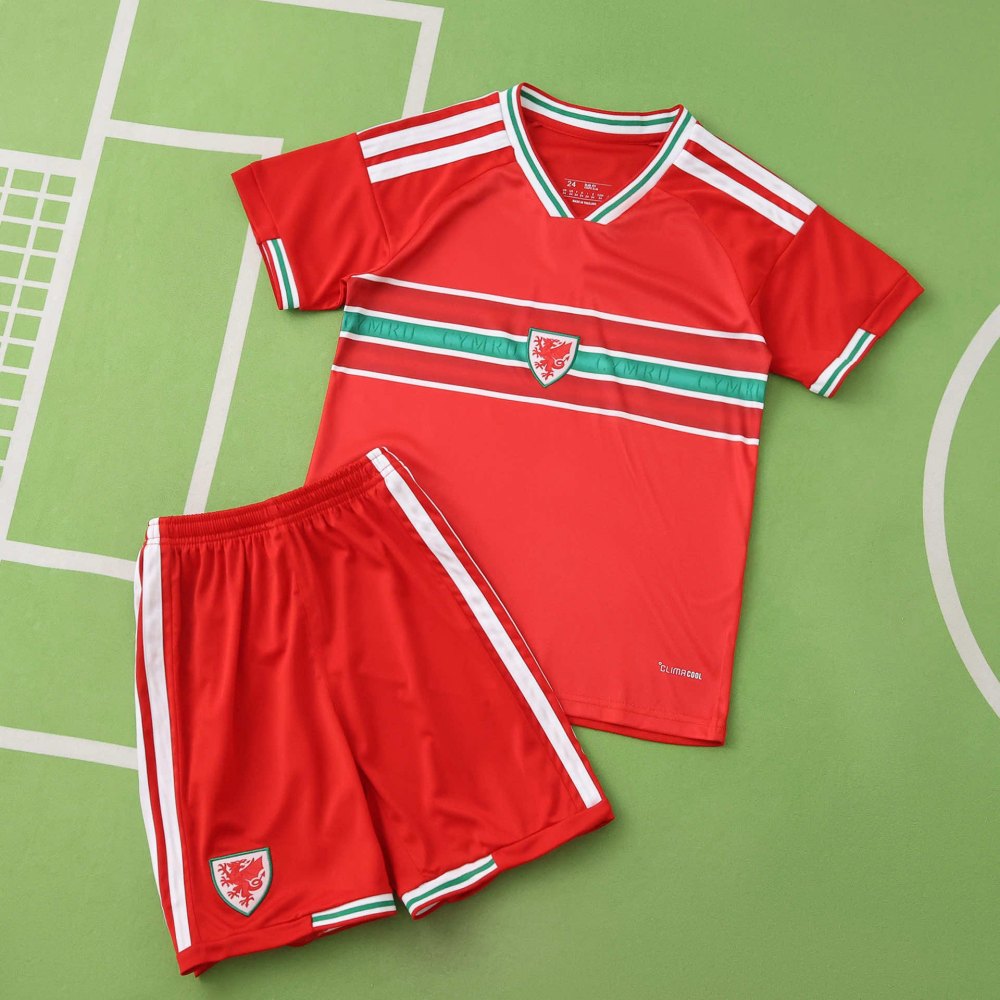 2026 FIFA World Cup Wales home Kids kit