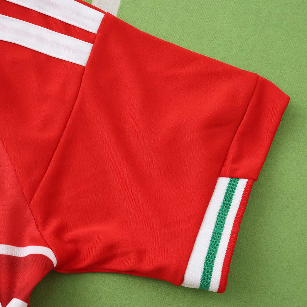 2026 FIFA World Cup Wales home Kids kit