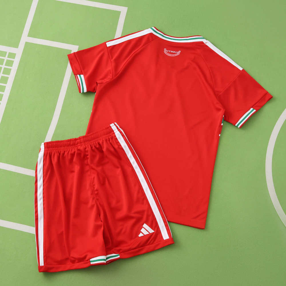 2026 FIFA World Cup Wales home Kids kit