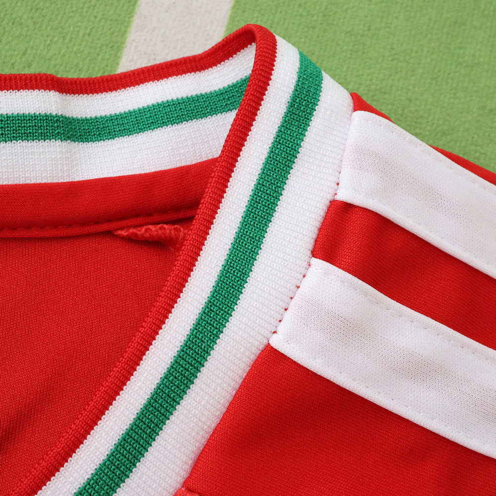 2026 FIFA World Cup Wales home Kids kit