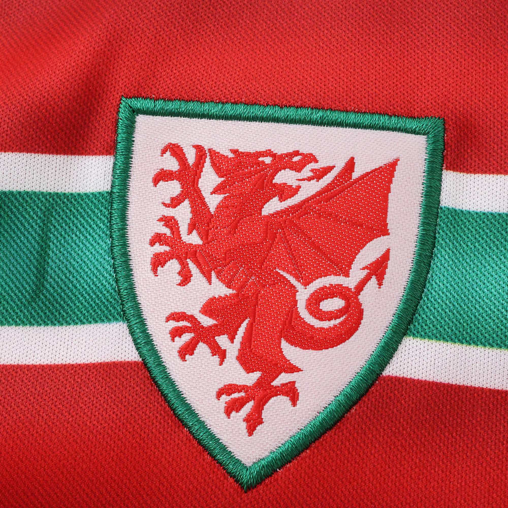2026 FIFA World Cup Wales home Kids kit