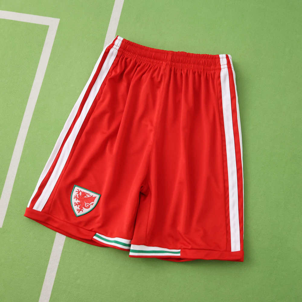 2026 FIFA World Cup Wales home Kids kit