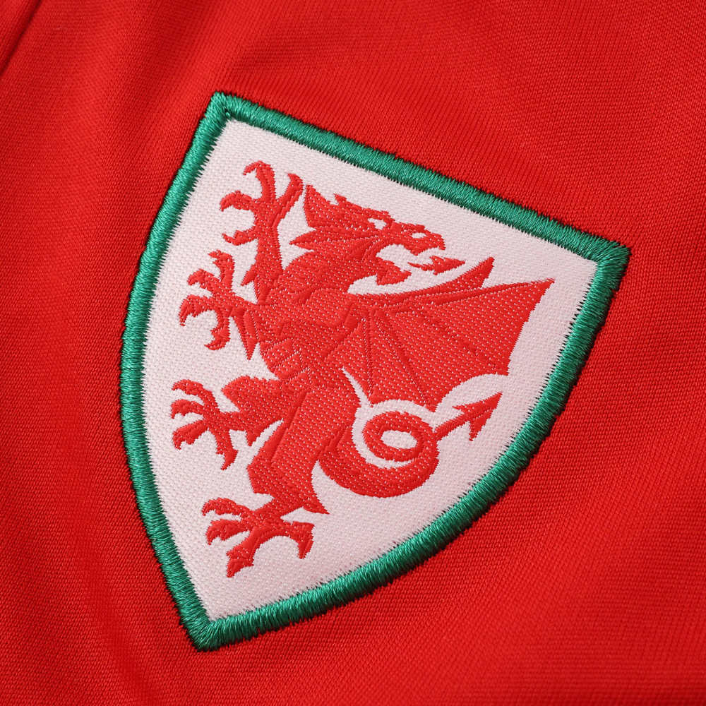 2026 FIFA World Cup Wales home Kids kit