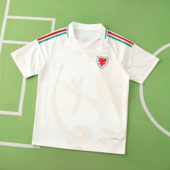 2026 FIFA World Cup Wales away Fan version