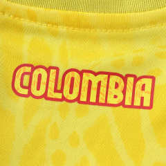 2026 FIFA World Cup Colombia home Long sleeved Fan version
