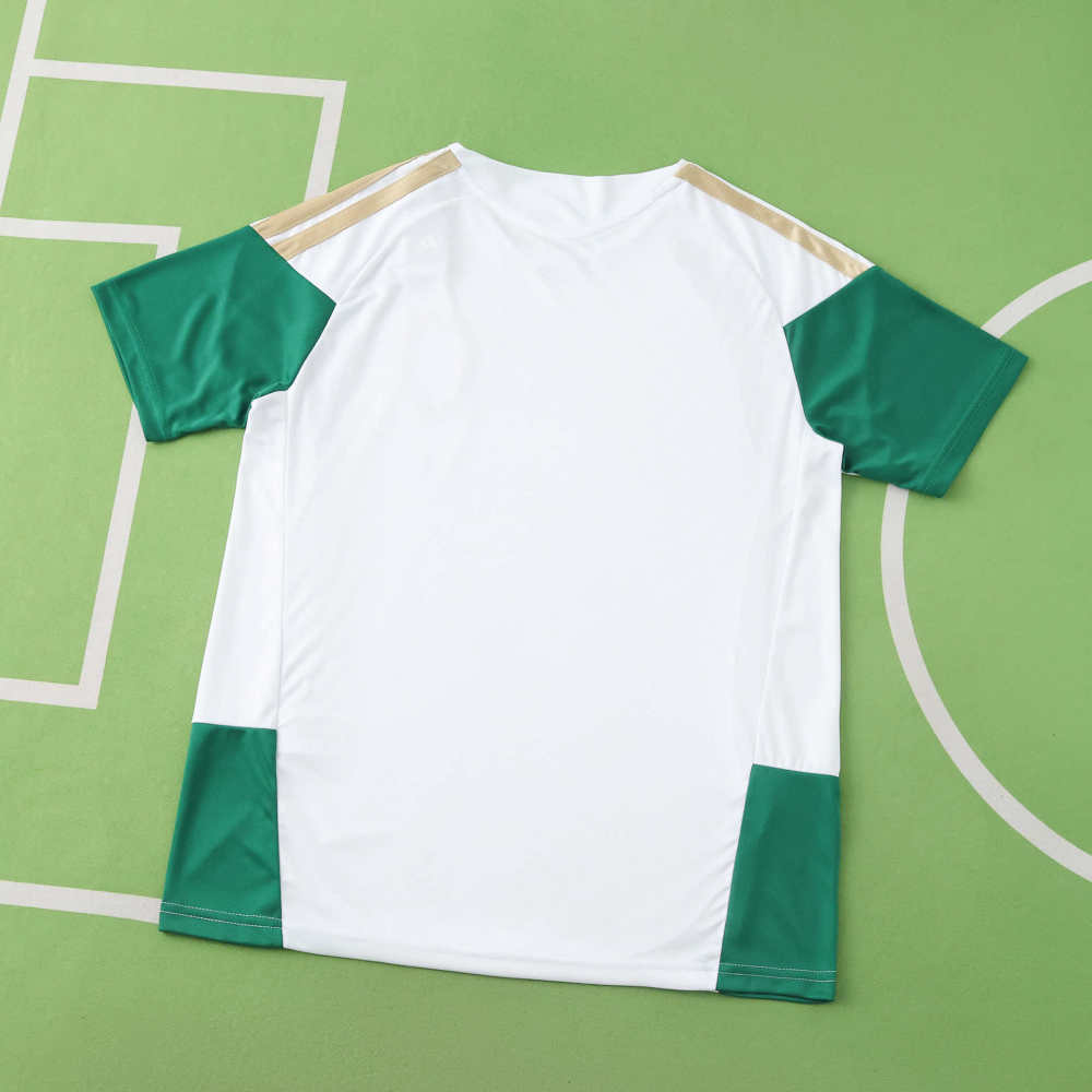 2026 FIFA World Cup Italy training suit Fan version