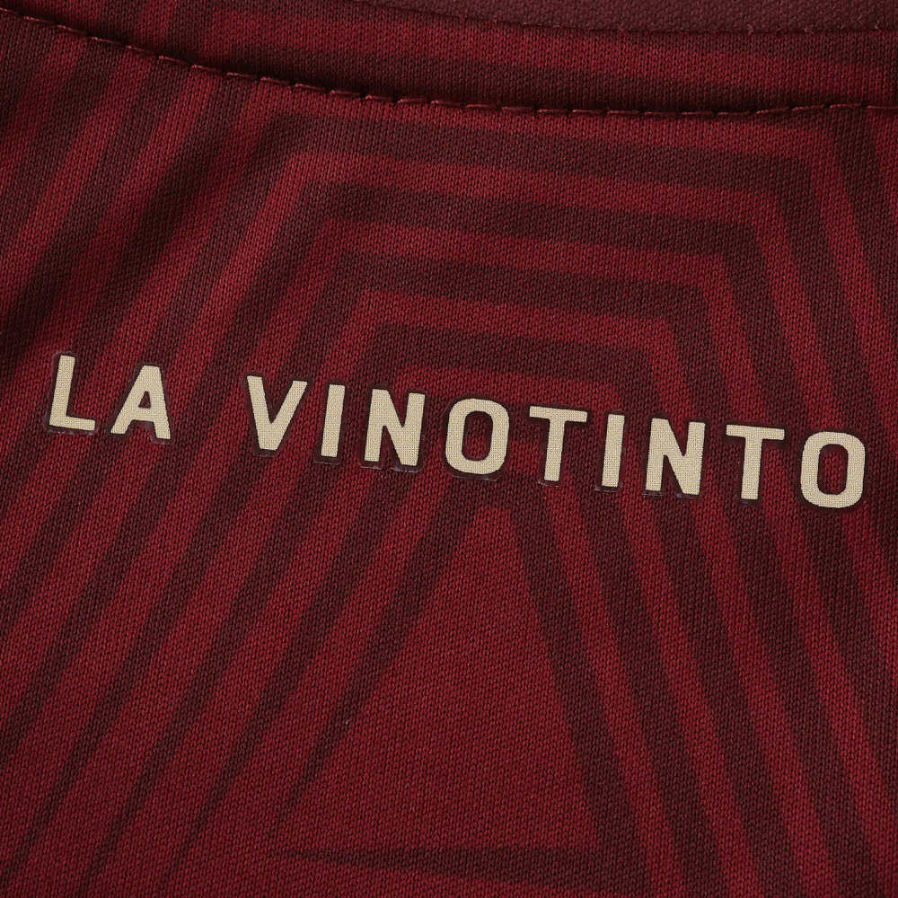 2026 FIFA World Cup Venezuela Villa home Kids kit