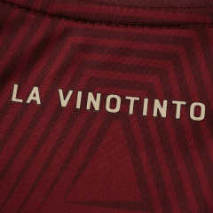 2026 FIFA World Cup Venezuela Villa home Kids kit