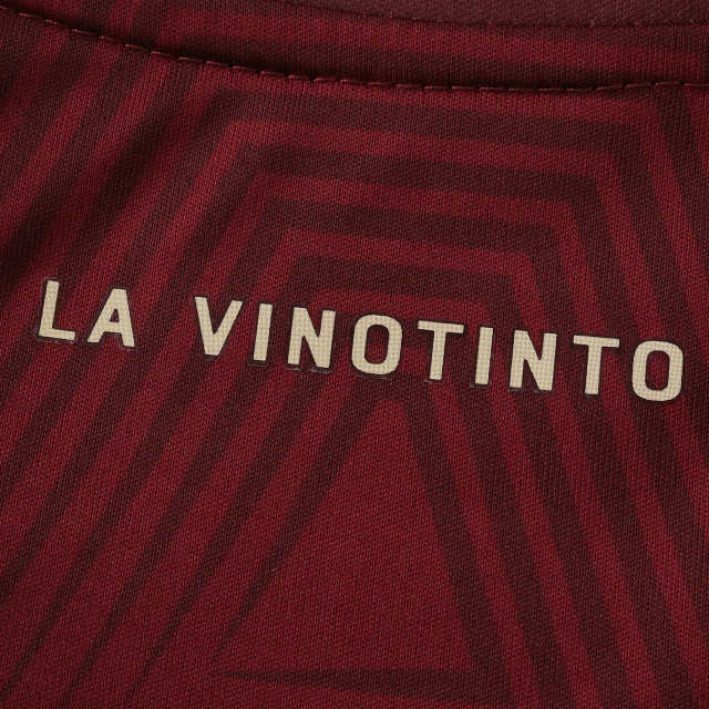 2026 FIFA World Cup Venezuela Villa home Kids kit