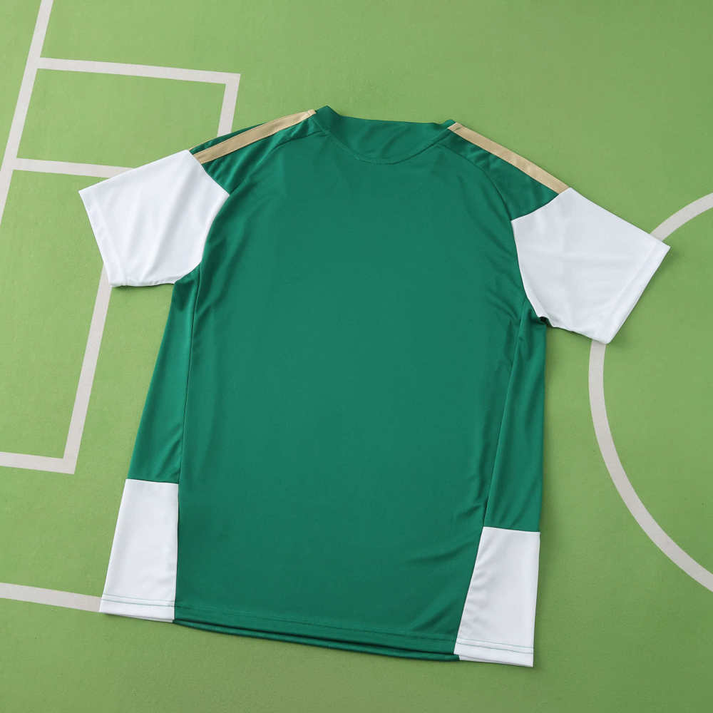 2026 FIFA World Cup Italy training suit Fan version