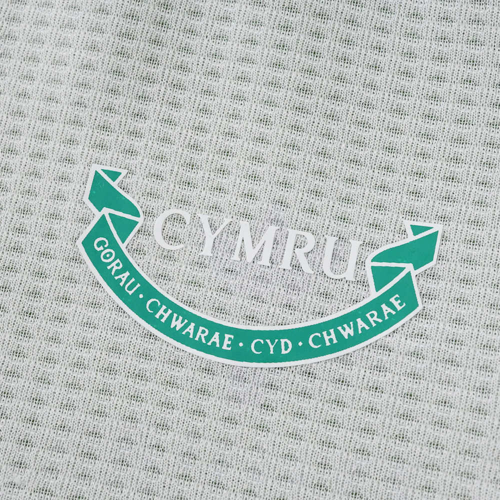 2026 FIFA World Cup Wales away Player version