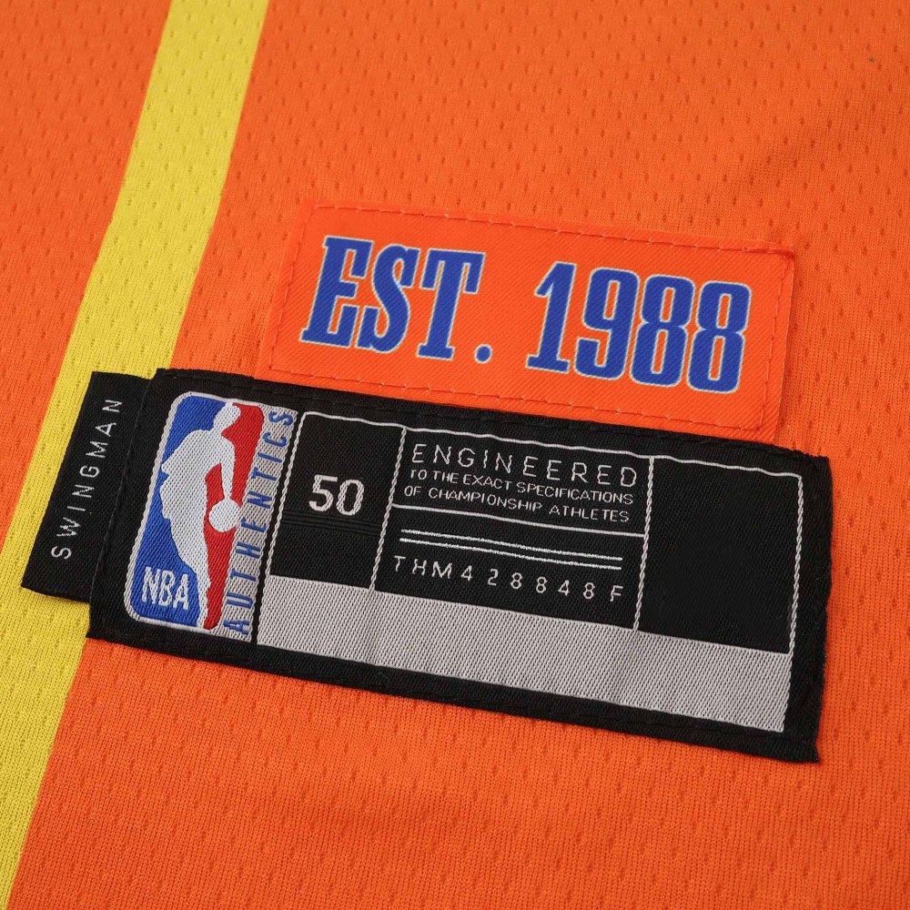 NBA Charlotte Hornets retro 9#BALL