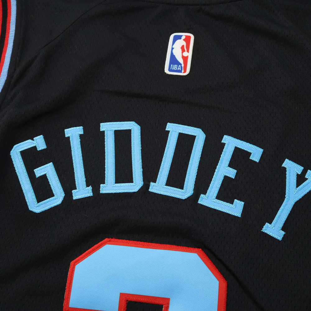 2025-26 NBA Chicago Bulls 3#GIDDEY