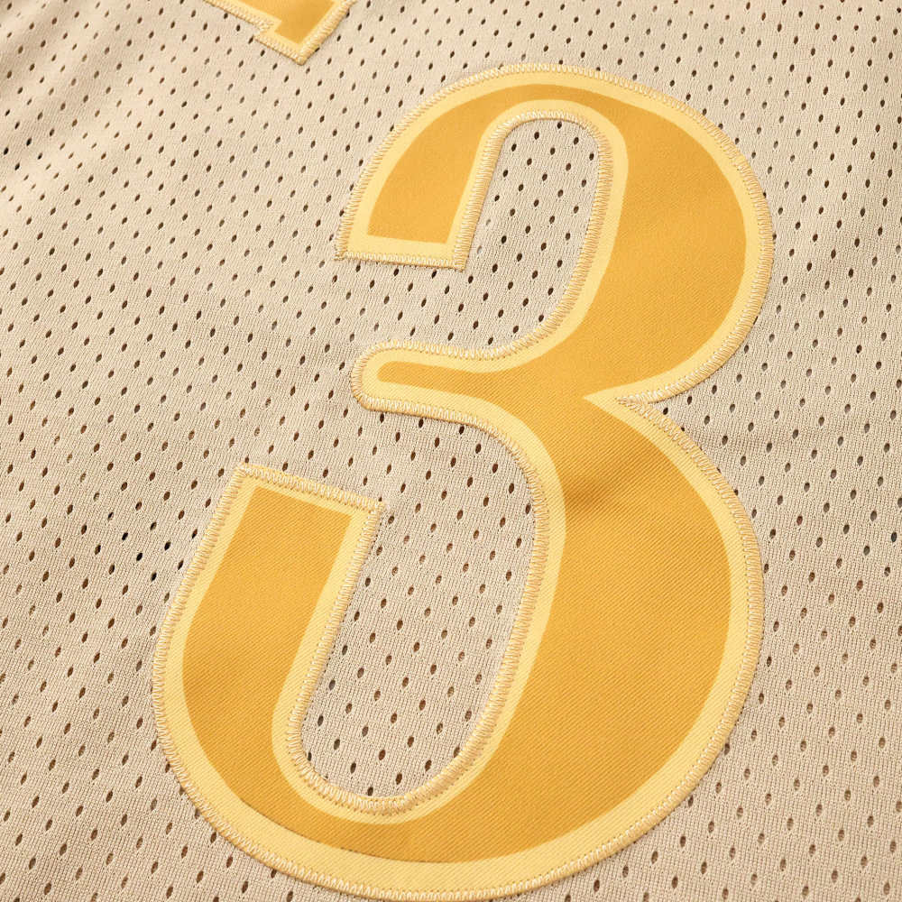 NBA Philadelphia 76ers retro 3#IVERRSON