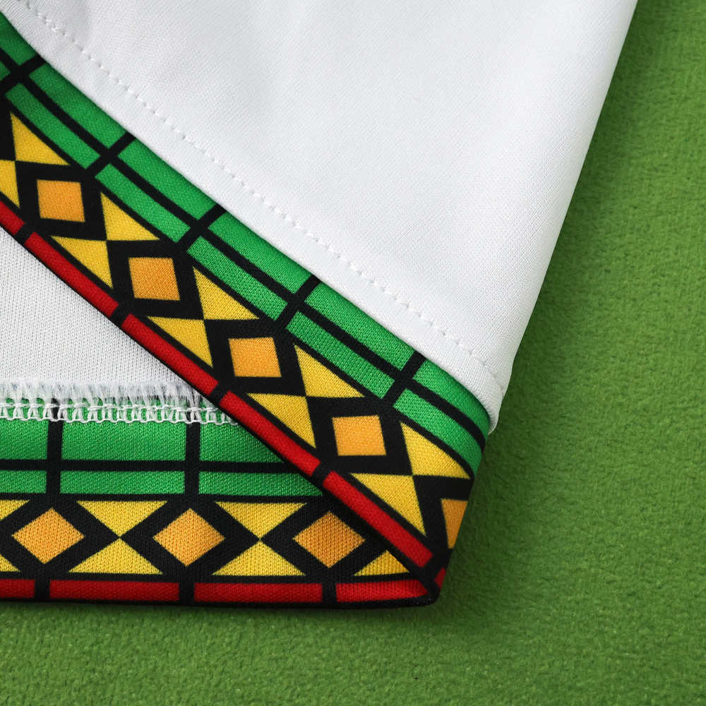 2026 season Republic of Mali Home Fan version