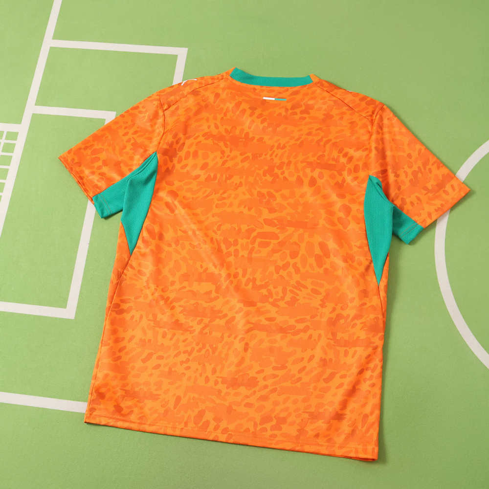 2627 Ivory Coast home Fan version