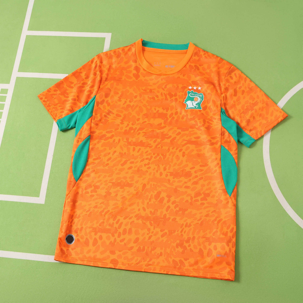 2627 Ivory Coast home Fan version