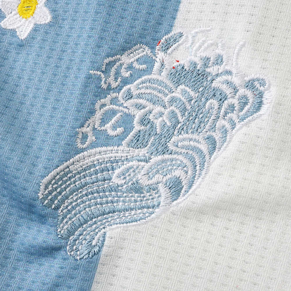 50th Anniversary of Argentina Embroidered version Fan version