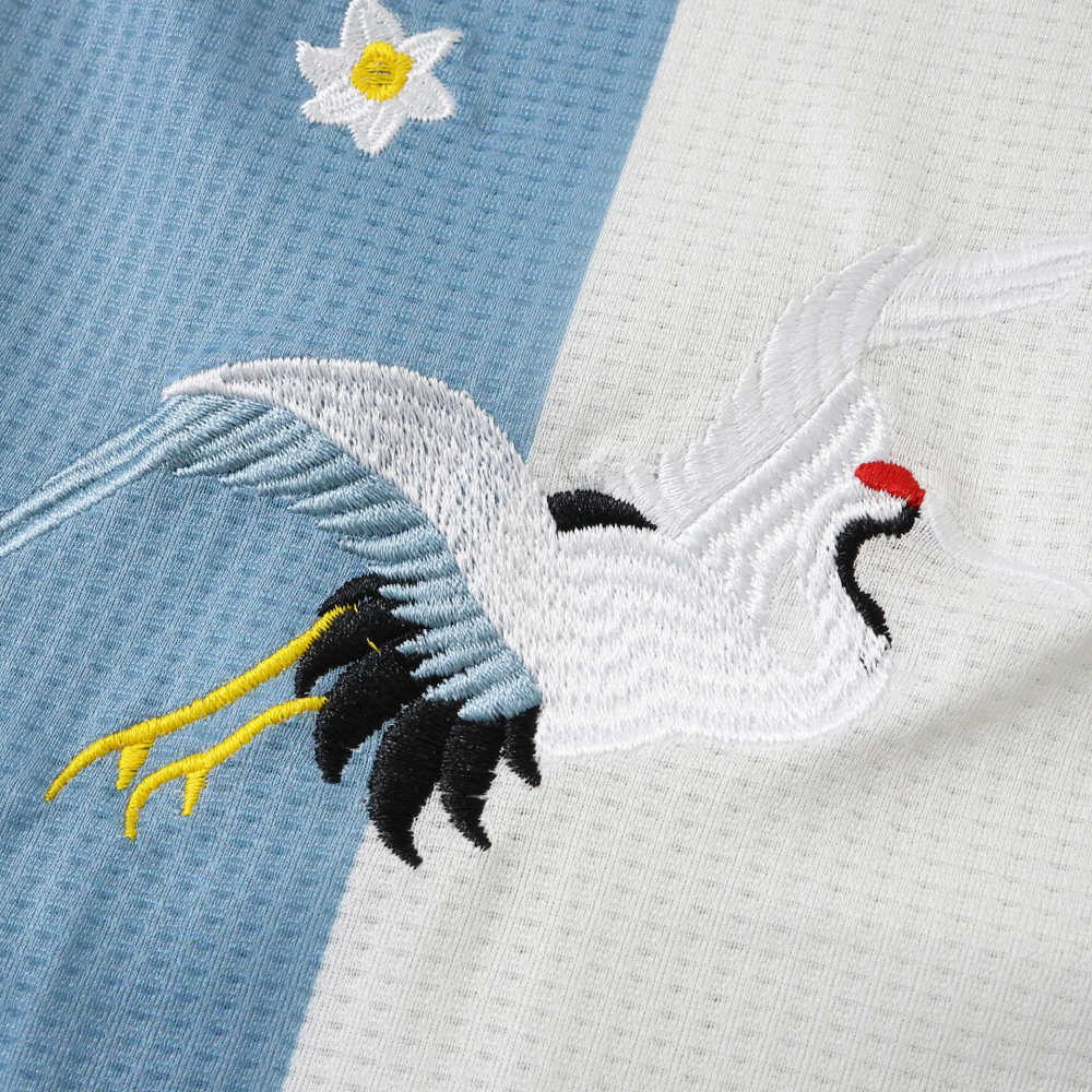 50th Anniversary of Argentina Embroidered version Fan version
