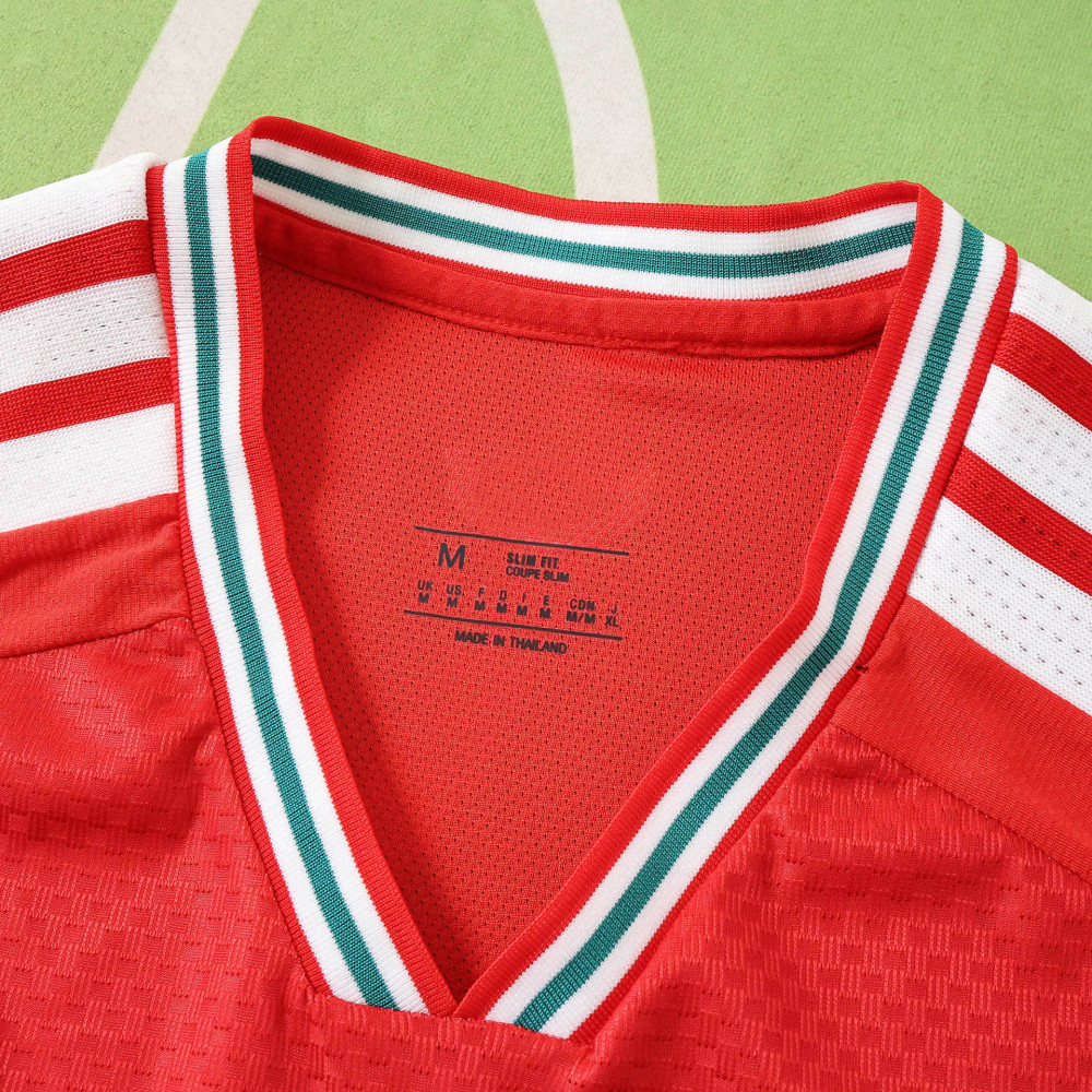 2026 FIFA World Cup Wales home Player version