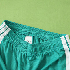 2026 FIFA World Cu Northern Ireland home shorts