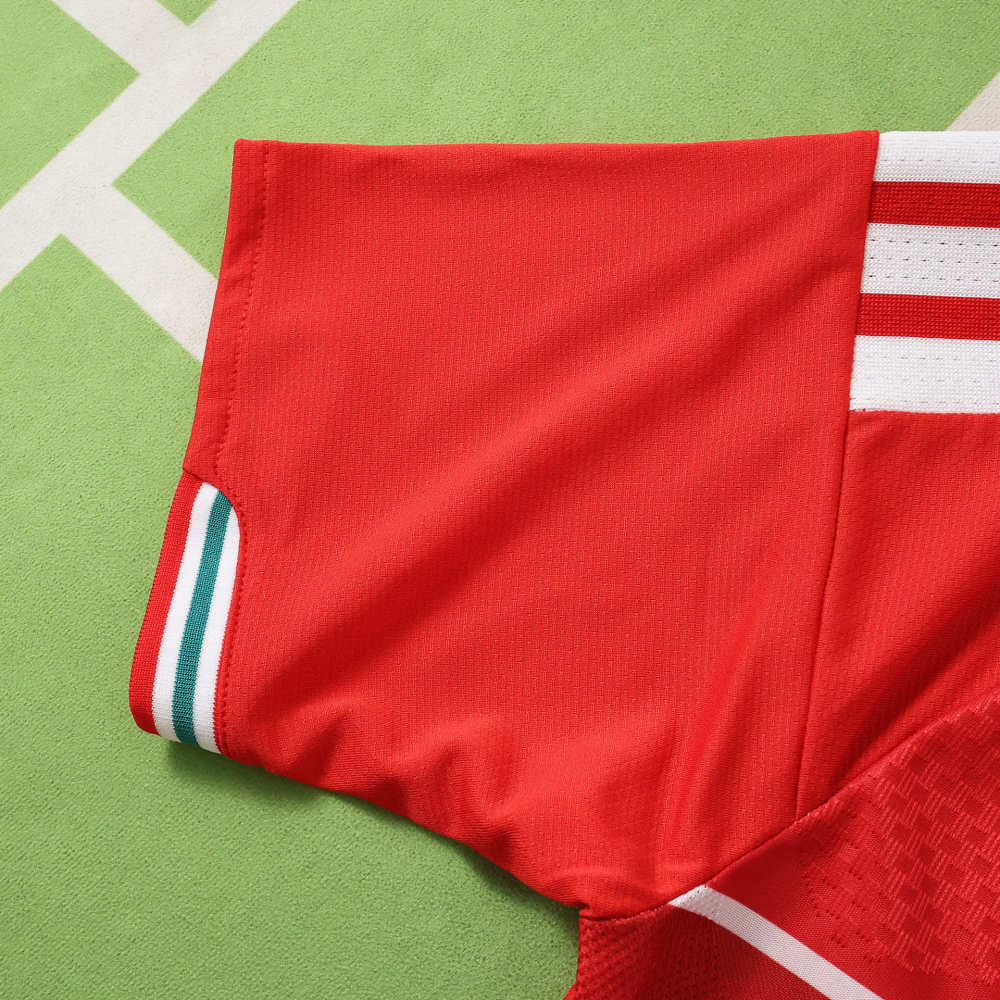 2026 FIFA World Cup Wales home Player version