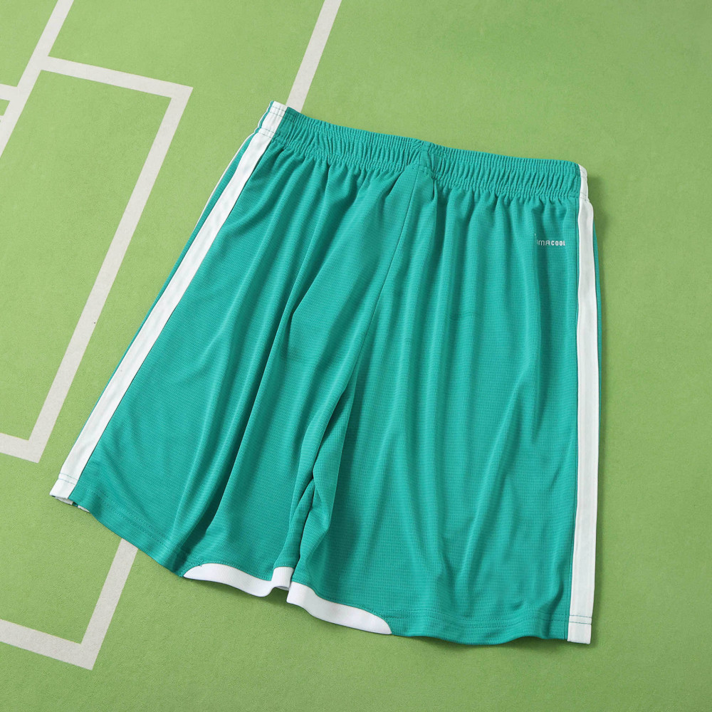 2026 FIFA World Cu Northern Ireland home shorts