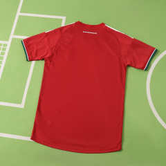 2026 FIFA World Cup Hungary home Player version