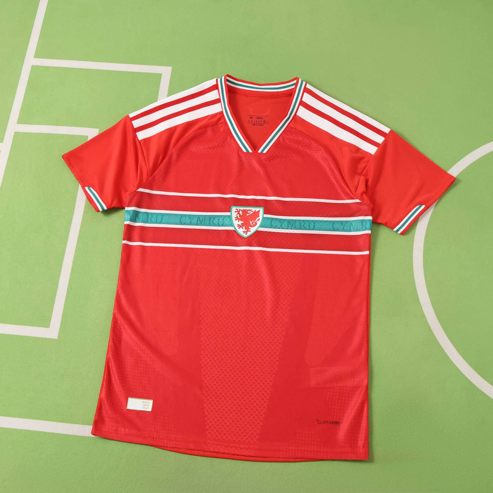 2026 FIFA World Cup Wales home Player version