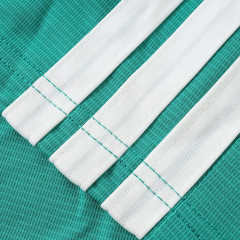 2026 FIFA World Cu Northern Ireland home shorts
