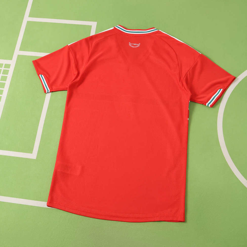 2026 FIFA World Cup Wales home Player version