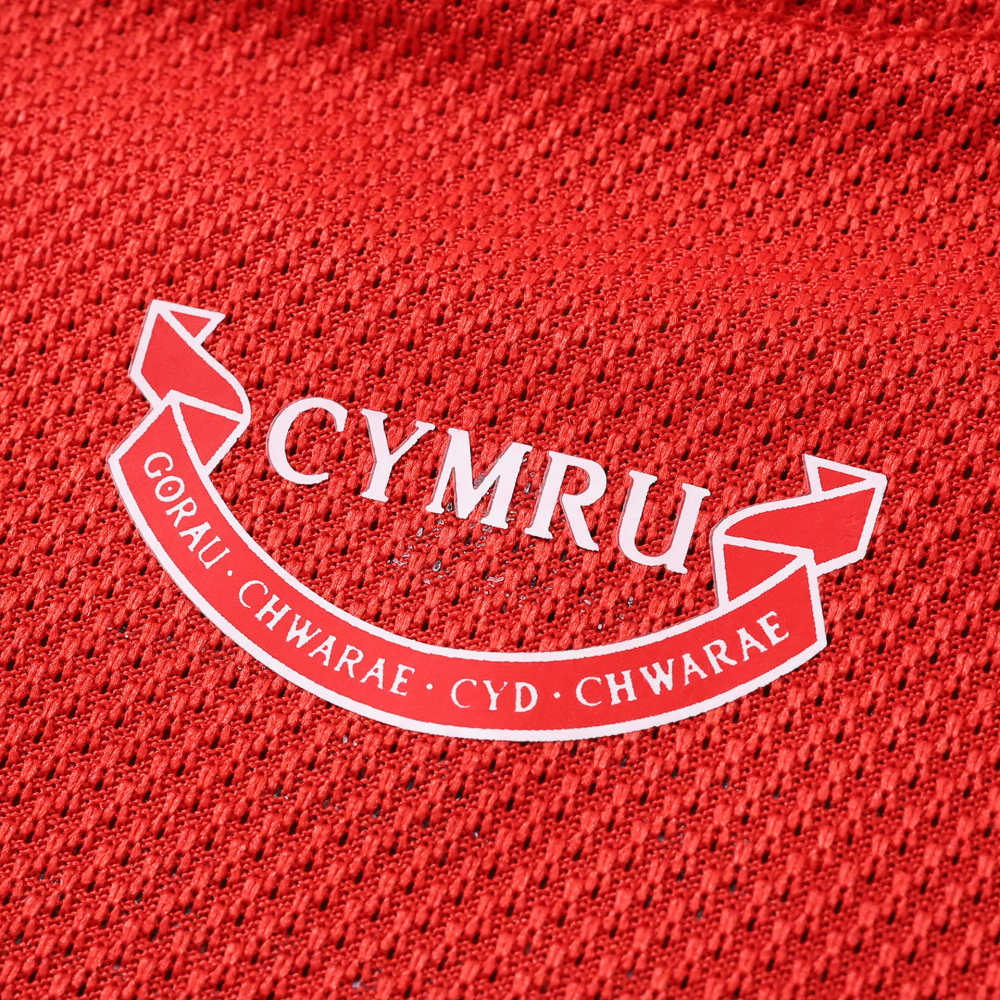 2026 FIFA World Cup Wales home Player version