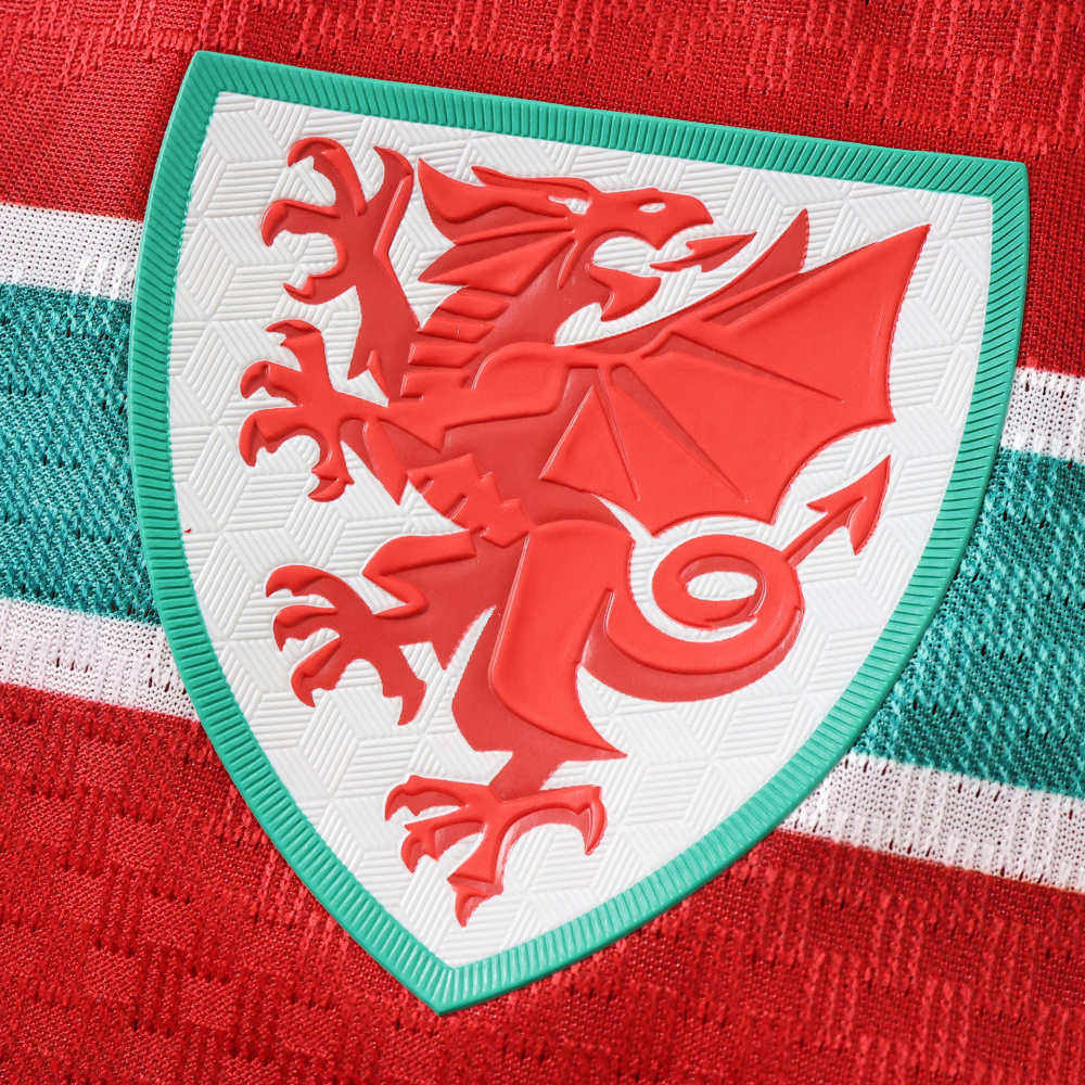 2026 FIFA World Cup Wales home Player version