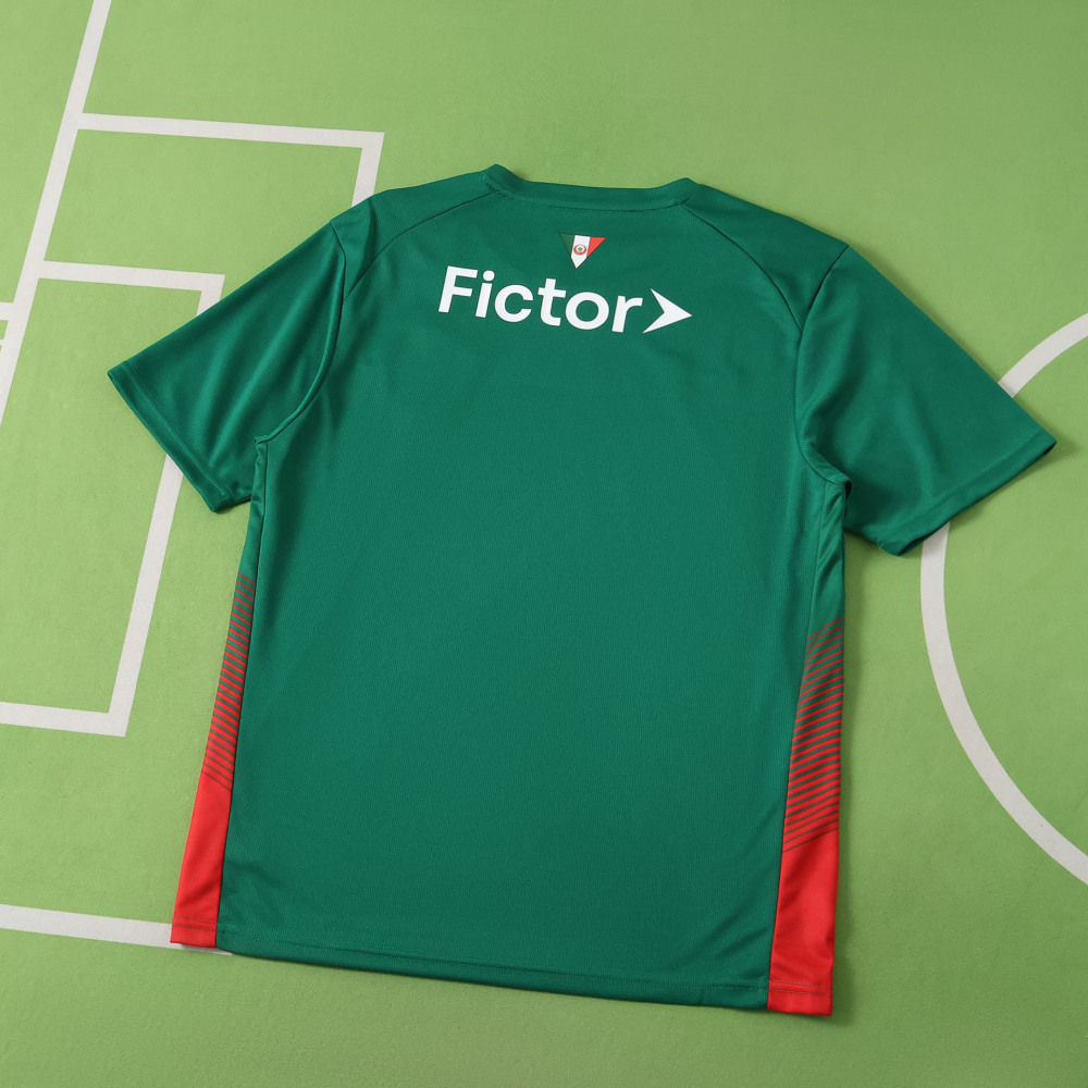 2627 season Sociedade Esportiva Palmeiras home Fan version