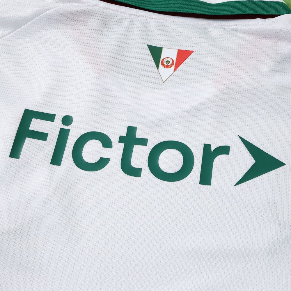 2627 season Sociedade Esportiva Palmeiras away  Fan version