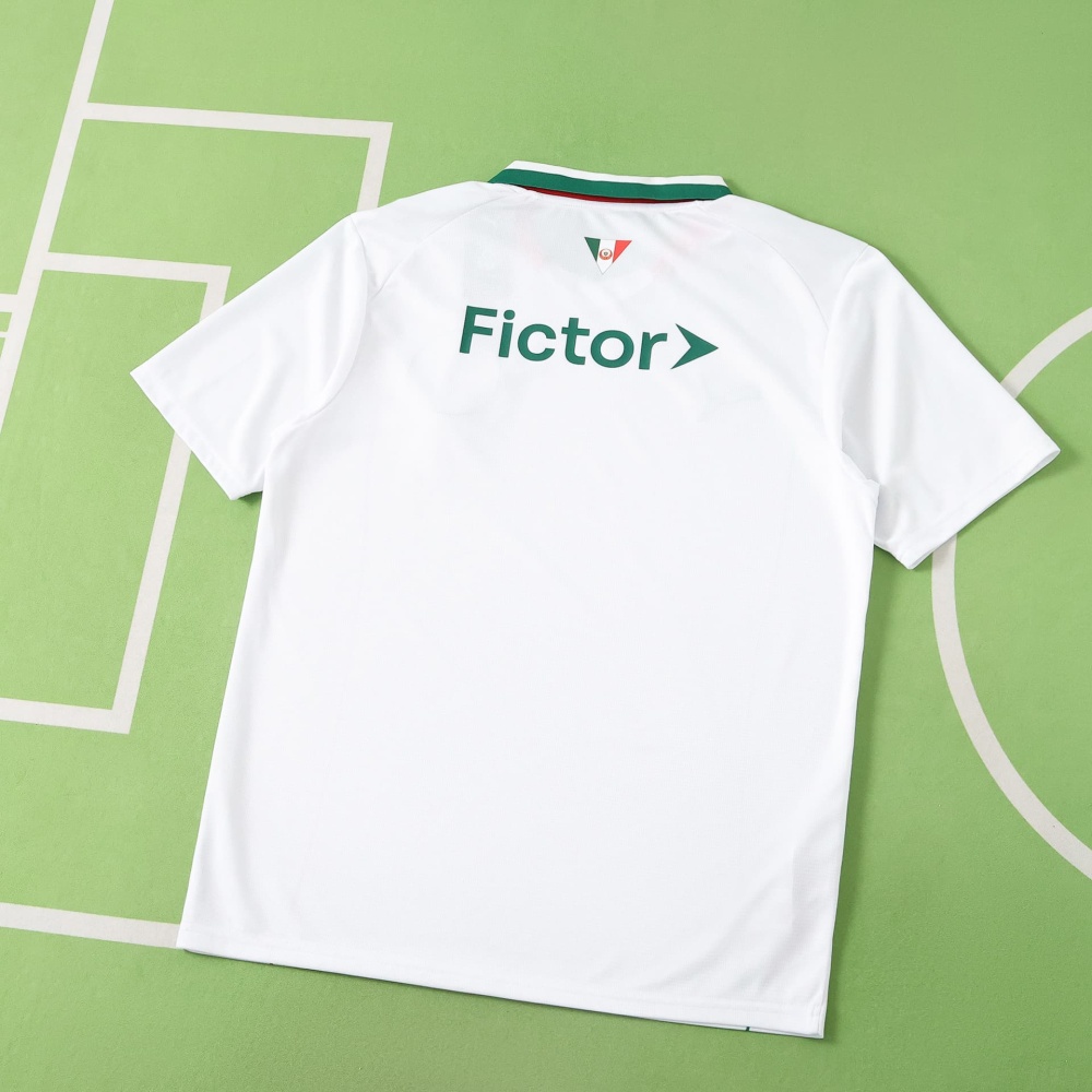 2627 season Sociedade Esportiva Palmeiras away  Fan version