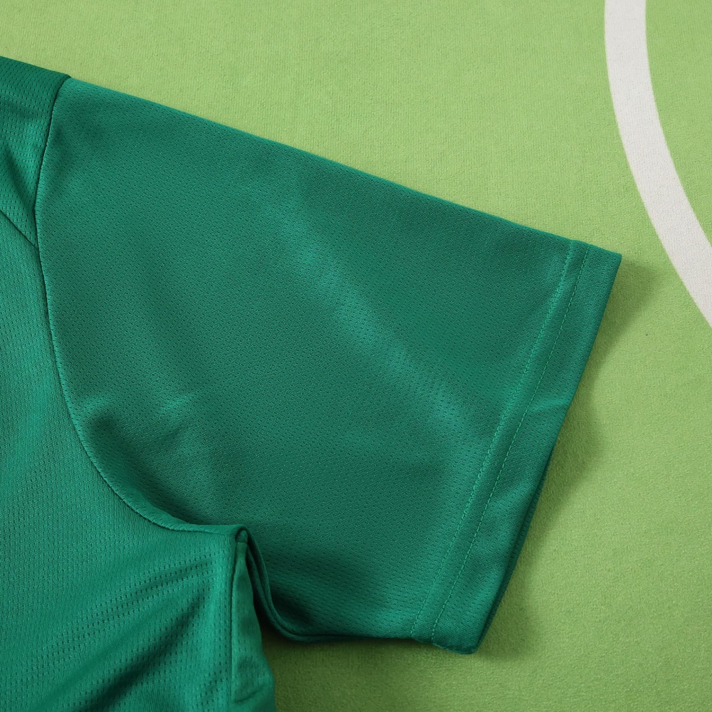 2627 season Sociedade Esportiva Palmeiras home Fan version