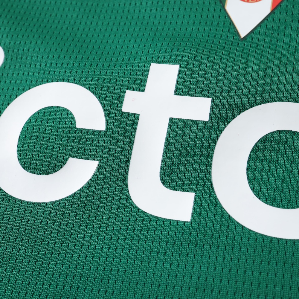 2627 season Sociedade Esportiva Palmeiras home Fan version